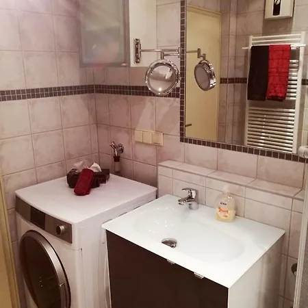 Apartment Confluentia In Der Koblenzer Altstadt *